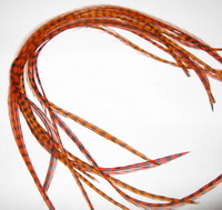 ���� Dry Fly (��� ����� ���) 10 �� ������ ���������  , ������ � 10-12-14